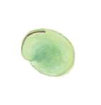 そらまめ おおきーい！