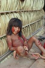 木から生まれたクリカチ