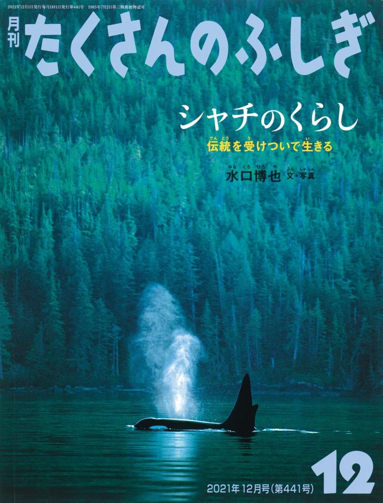 たくさんのふしぎ2021年12月号『シャチのくらし』