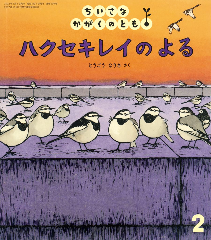 ちいさなかがくのとも2022年2月号『ハクセキレイの　よる』