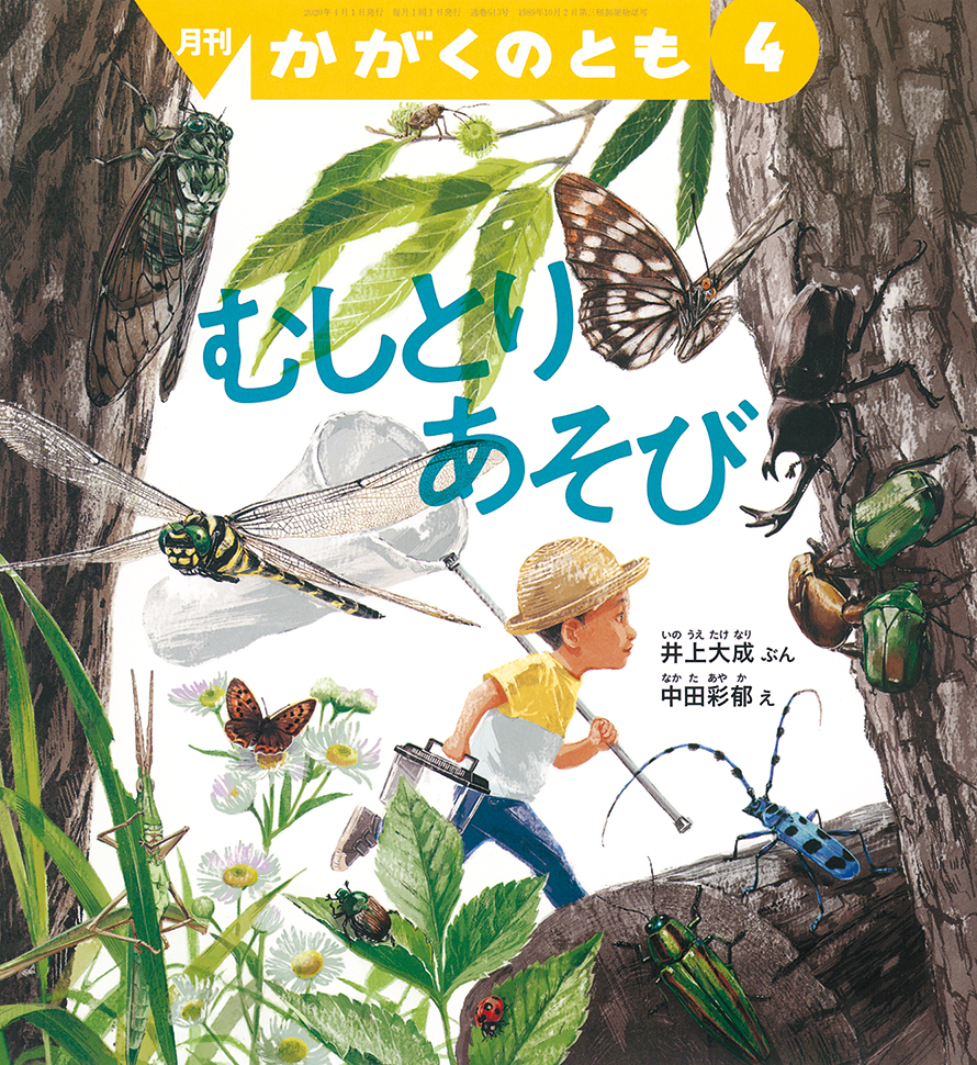 かがくのとも 2020年4月号『むしとりあそび』