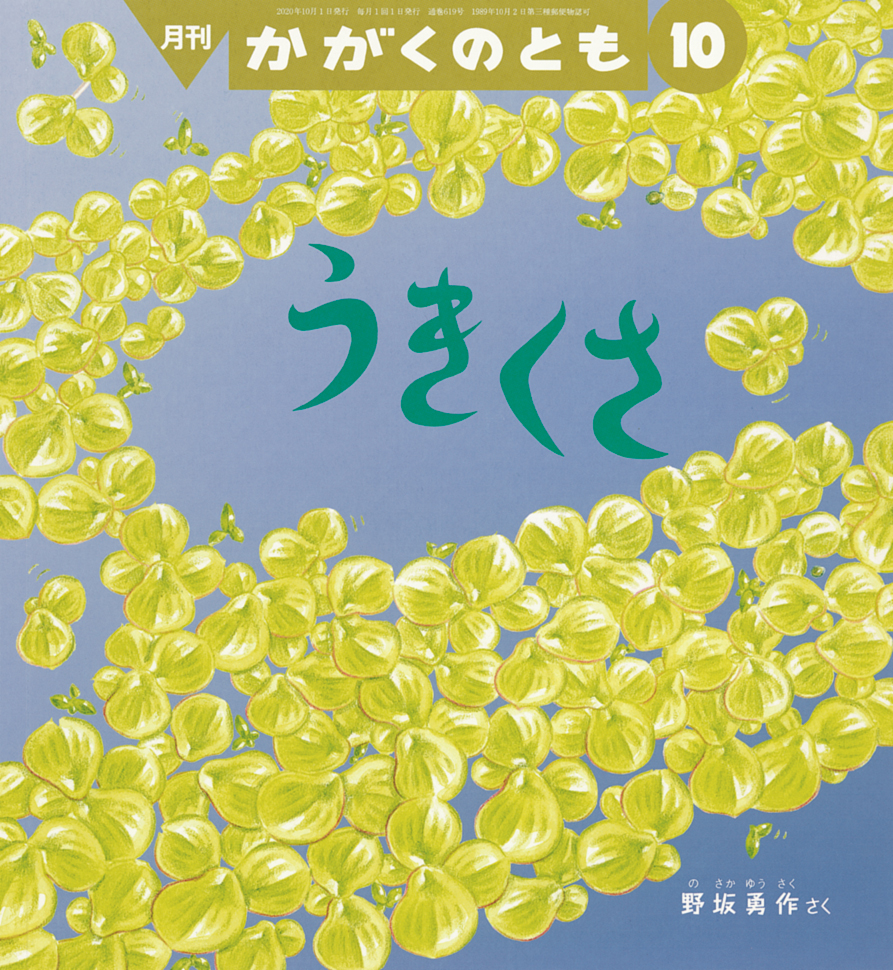 かがくのとも 2020年10月号『うきくさ』