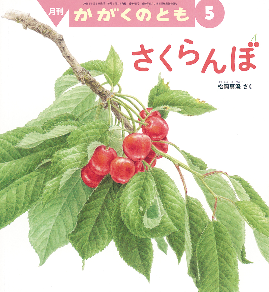 かがくのとも 2021年5月号『さくらんぼ』