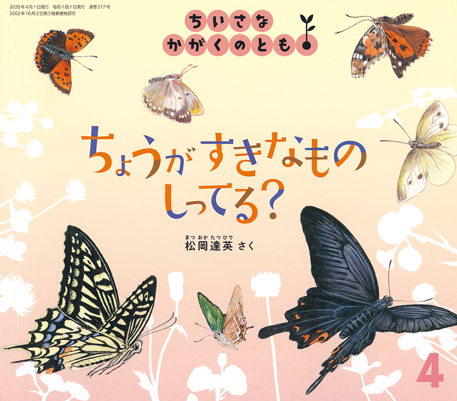 ちいさなかがくのとも 2020年4月号『ちょうが すきなもの しってる？』