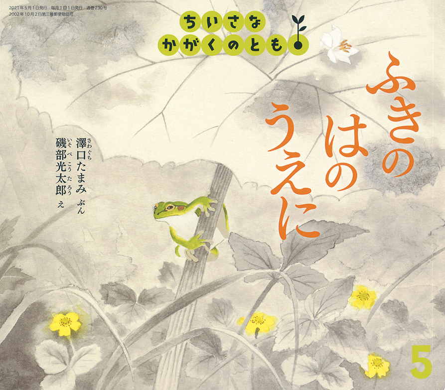 ちいさなかがくのとも 2021年5月号『ふきの　はのうえに』