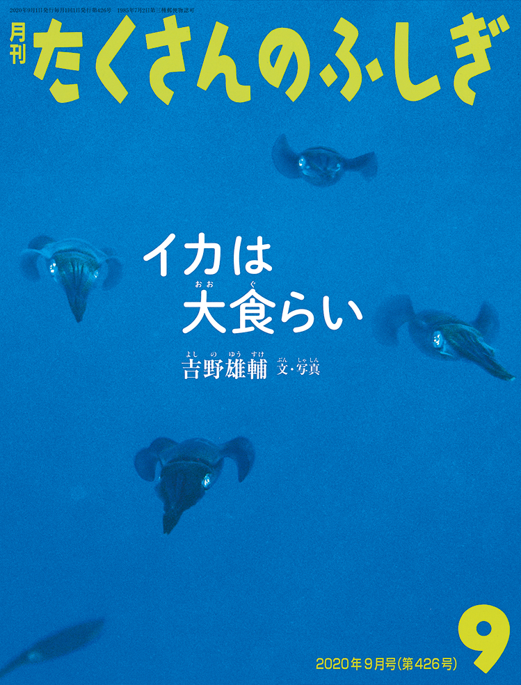 たくさんのふしぎ 2020年9月号『イカは大食らい』