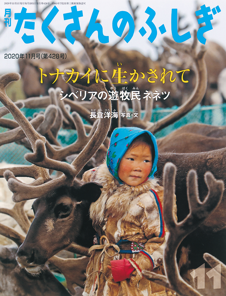 たくさんのふしぎ 2020年11月号『トナカイに生かされて』