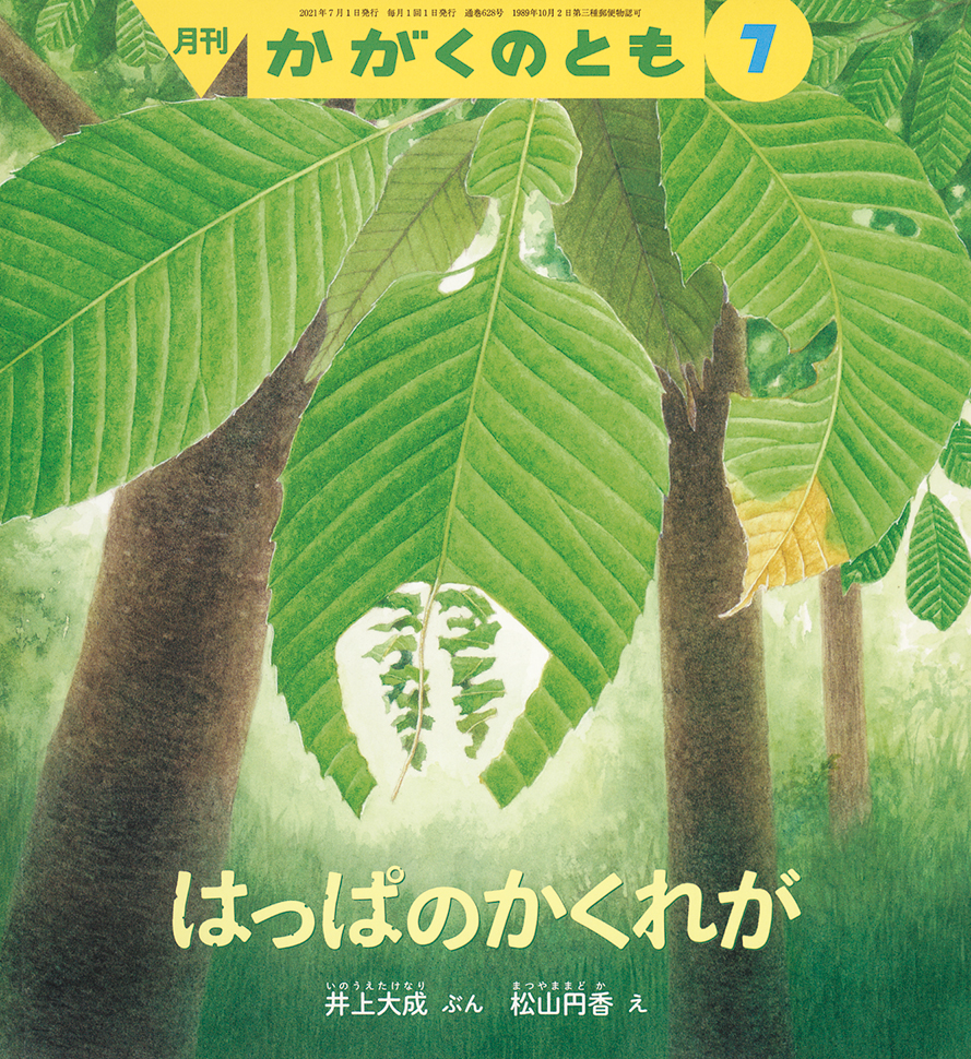 かがくのとも 2021年7月号『はっぱのかくれが』