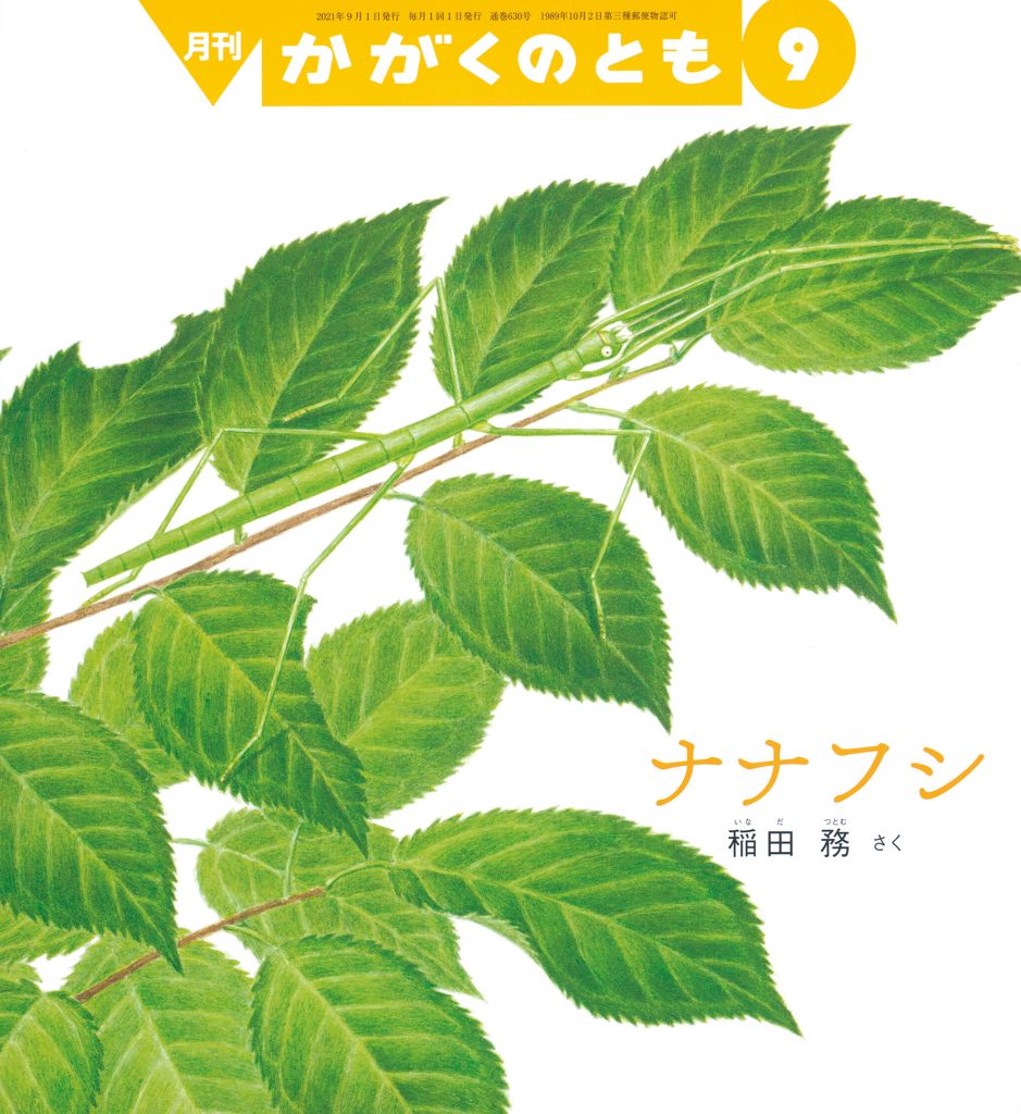 かがくのとも 2021年9月号『ナナフシ』