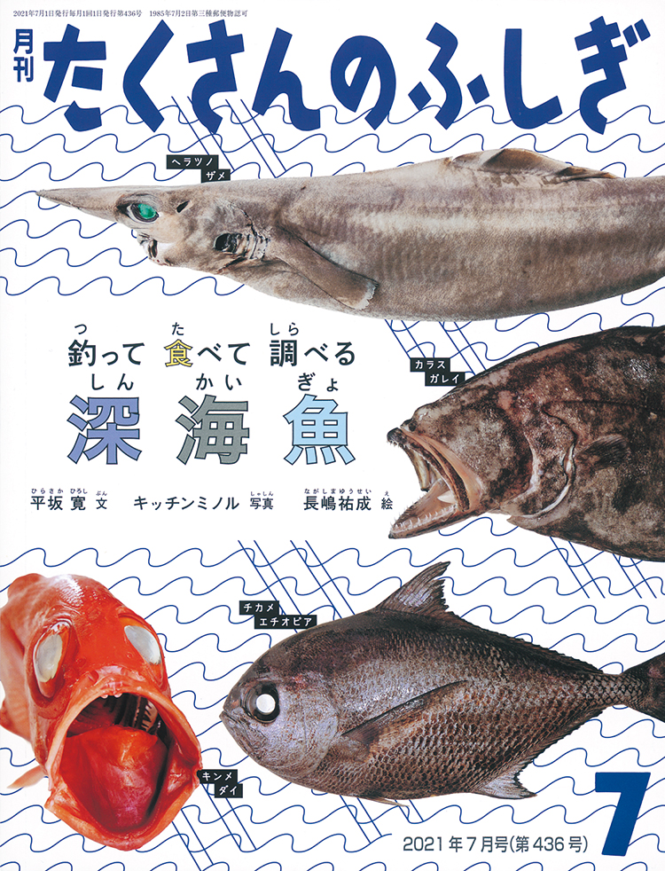 たくさんのふしぎ 2021年7月号『釣って 食べて 調べる 深海魚』