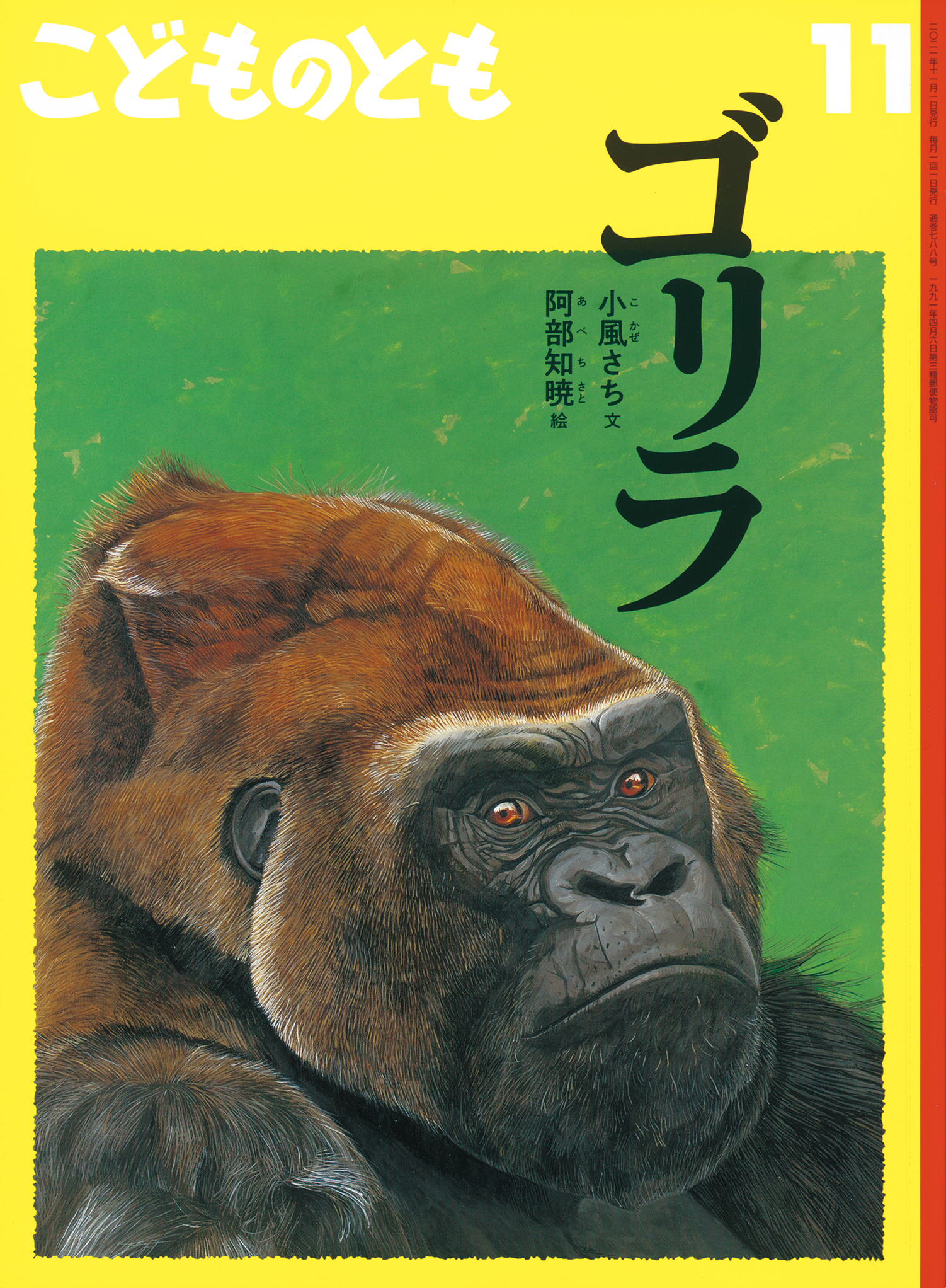 こどものとも 2021年11月号『ゴリラ』 | こどものとも ひろば