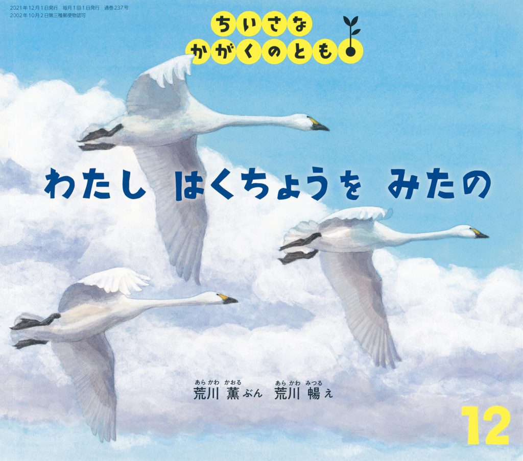 ちいさなかがくのとも2021年12月号『わたし　はくちょうを　みたの』