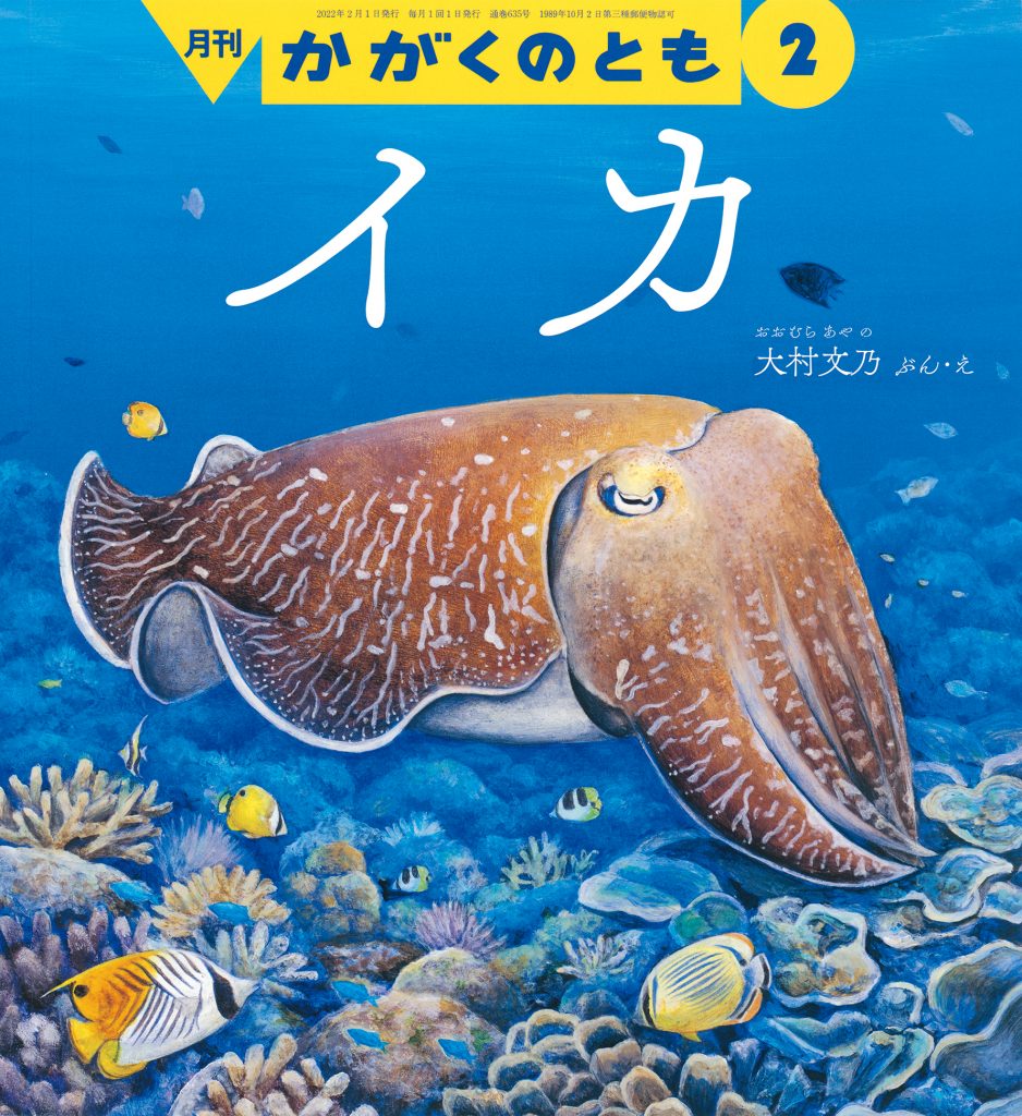 かがくのとも 2022年2月号『イカ』