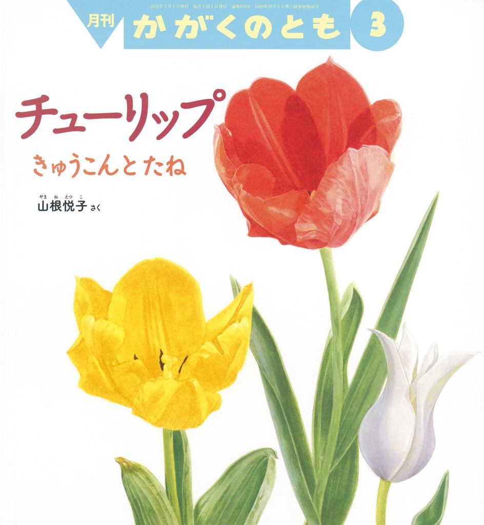 かがくのとも 2022年3月号『チューリップ』