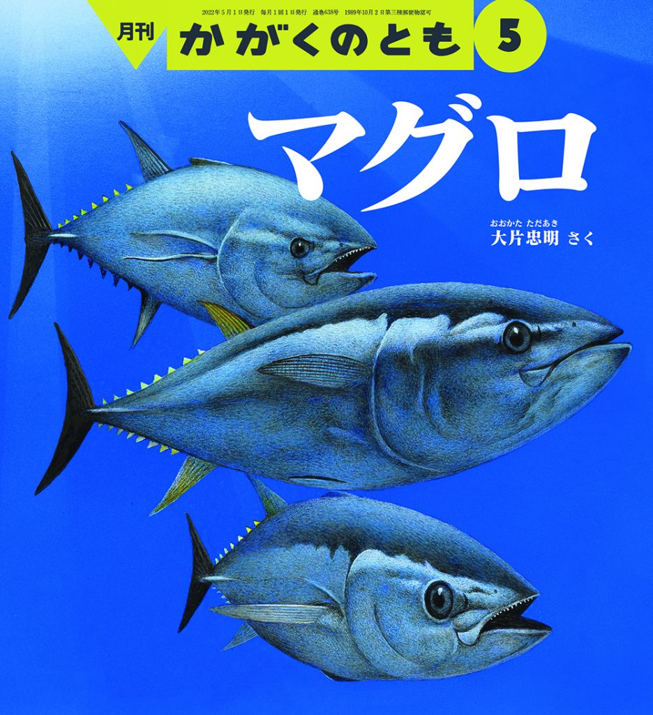 かがくのとも 2022年５月号『マグロ』