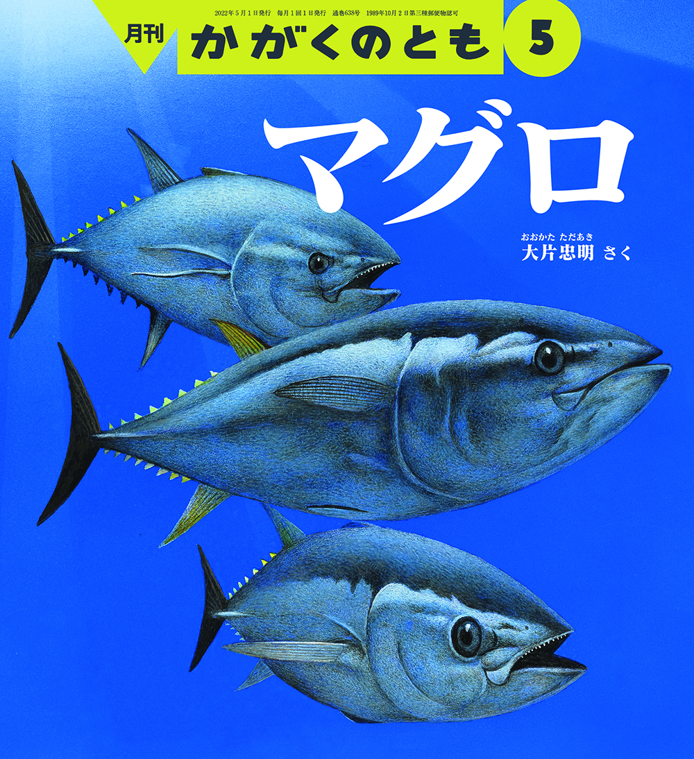 かがくのとも 2022年5月号『マグロ』 | こどものとも ひろば