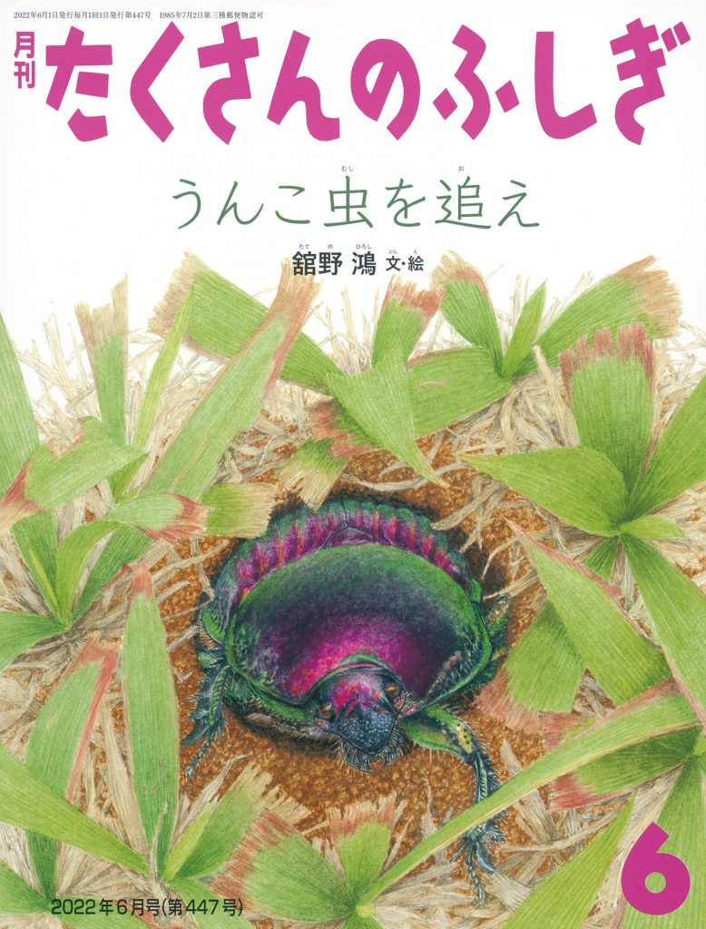 たくさんのふしぎ　2022年6月号『うんこ虫を追え』