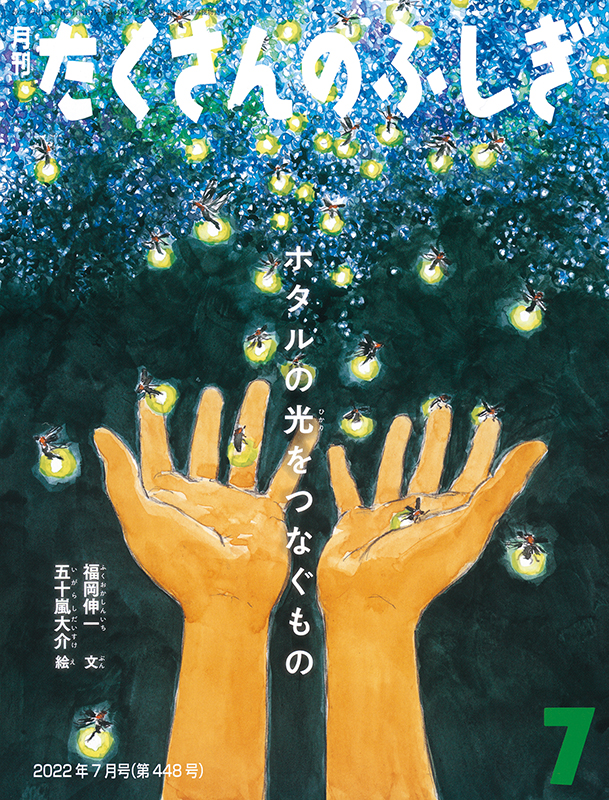 たくさんのふしぎ 2022年7月号『ホタルの光をつなぐもの』