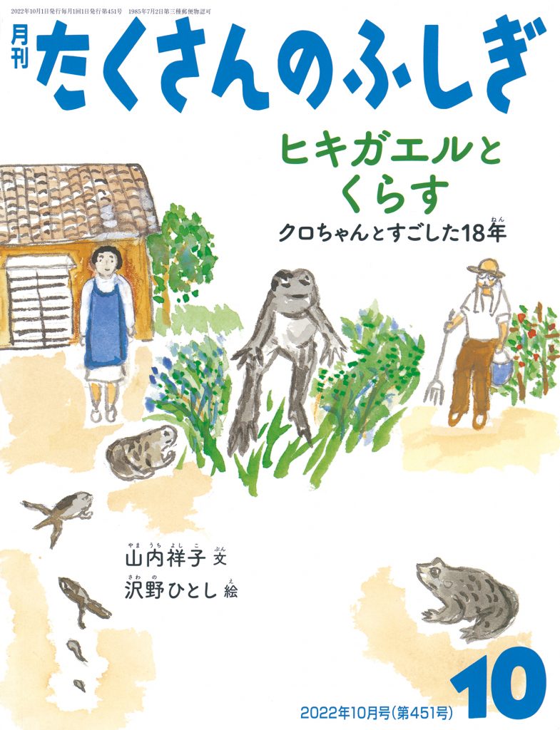 たくさんのふしぎ10月号『ヒキガエルとくらす　クロちゃんとすごした18年』