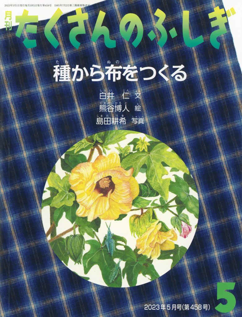 たくさんのふしぎ2023年5月号『種から布をつくる』