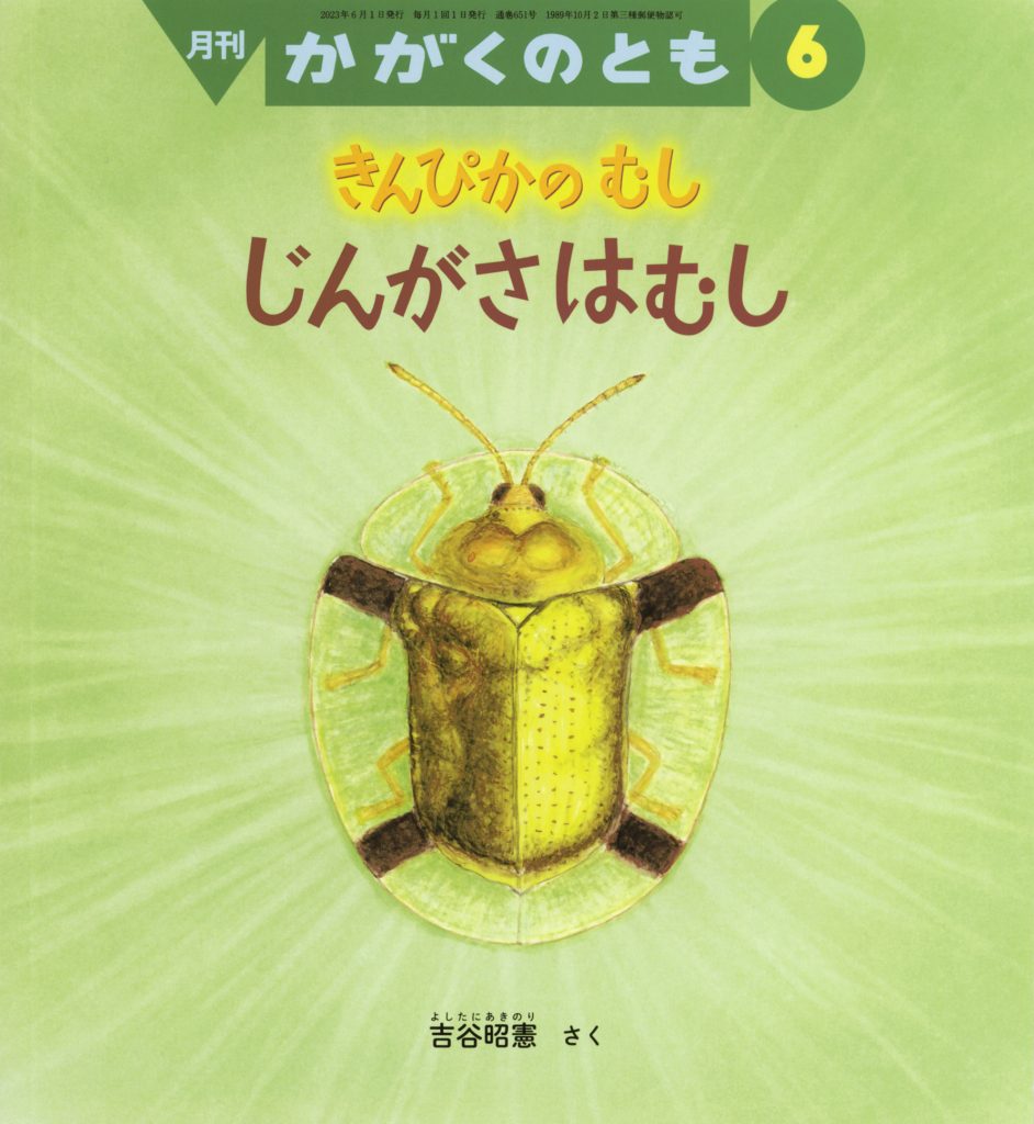 かがくのとも 2023年6月号『きんぴかの むし じんがさはむし』