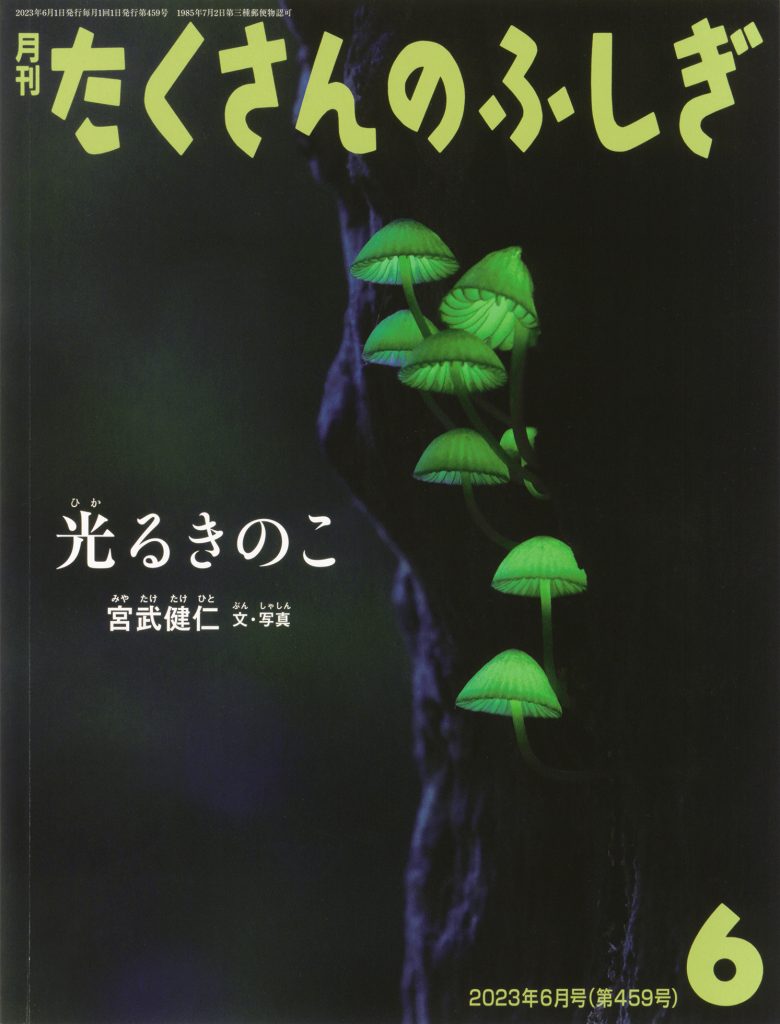 たくさんのふしぎ2023年6月号『光るきのこ』