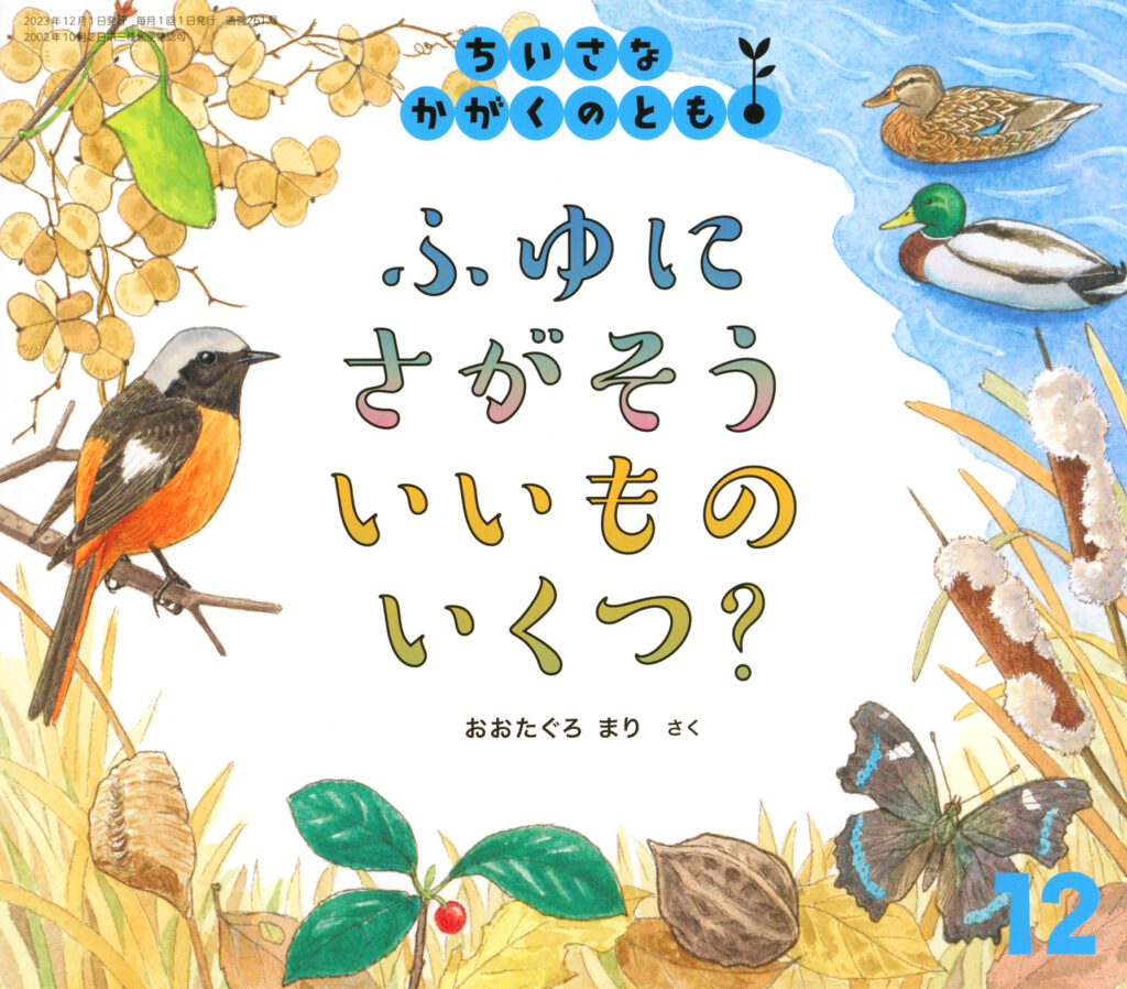 ちいさなかがくのとも2023年12月号『ふゆにさがそう いいものいくつ？』