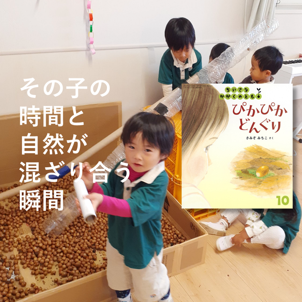 連載：月刊絵本と保育 22　子どもの時間  ―『ぴかぴか どんぐり』ちいさなかがくのとも2023年10月号 ―