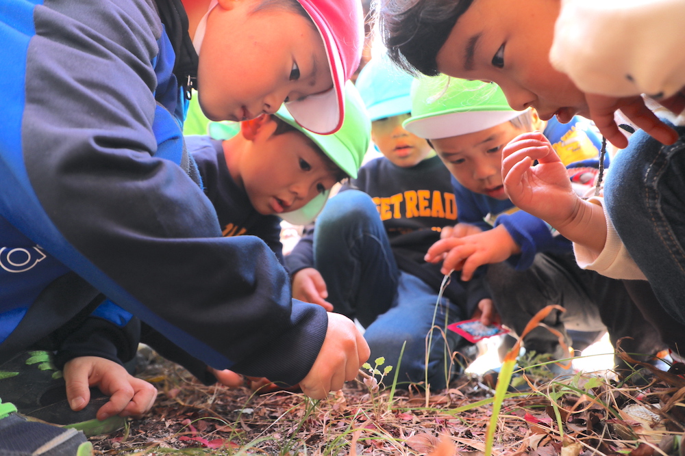 月刊絵本とのあゆみ　かえで幼稚園 中丸先生　連載第3回（広島県廿日市市）