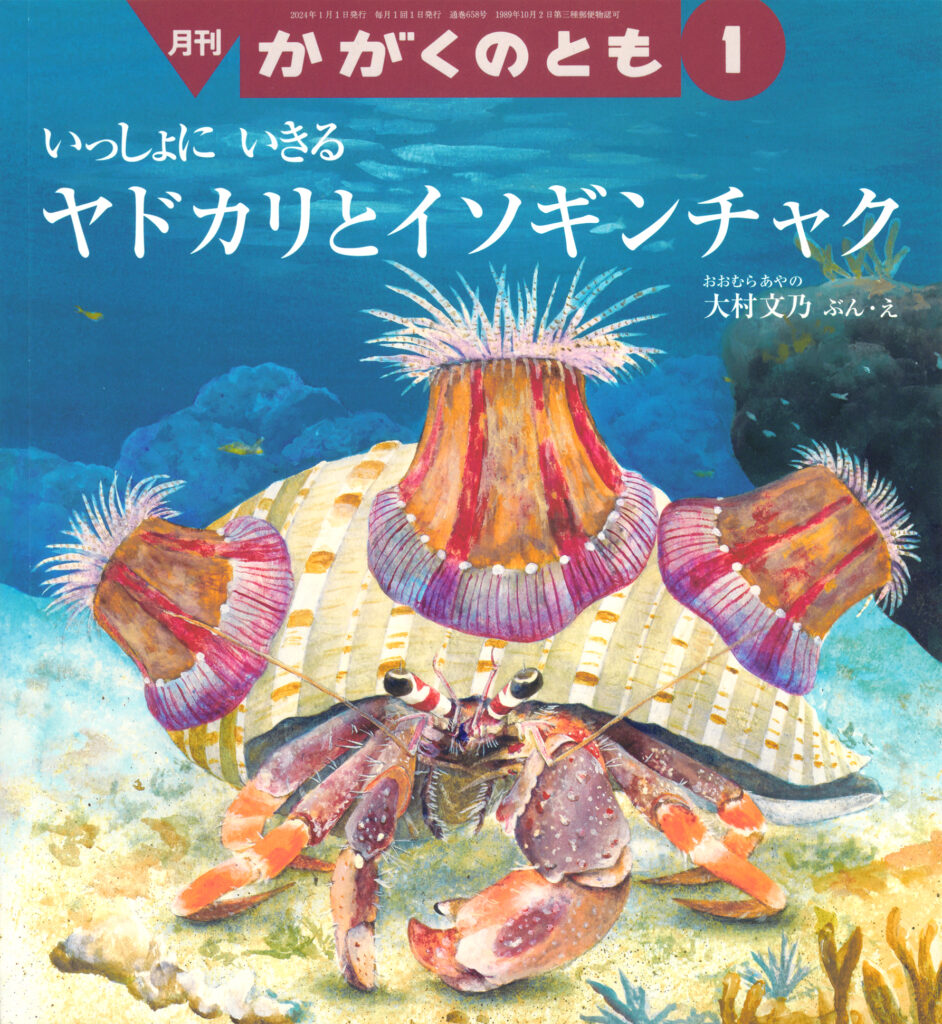 かがくのとも 2024年1月号『ヤドカリとイソギンチャク』