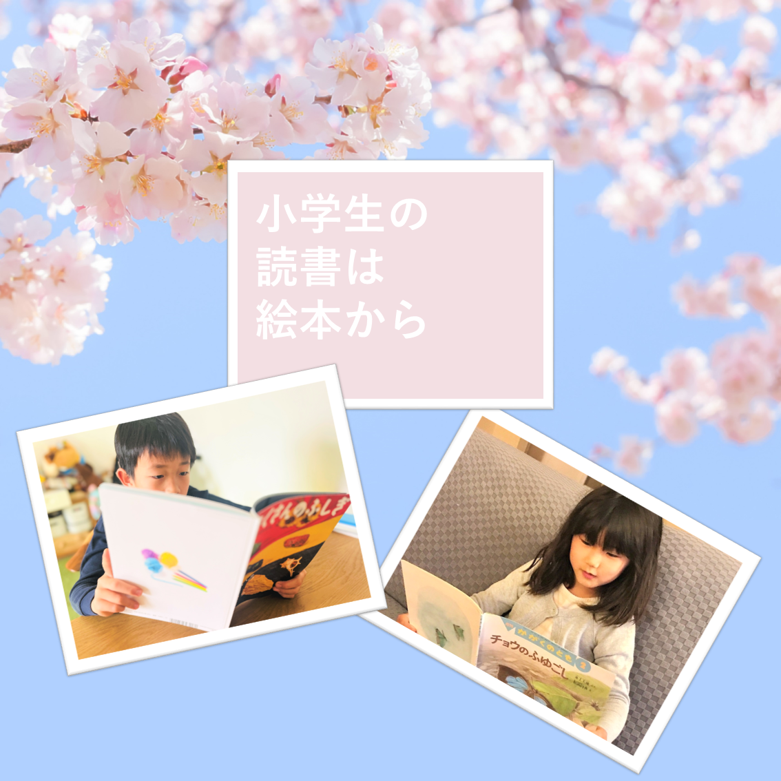 絵本 幼児〜小学校低学年向け　37冊　まとめ売り 小学生の読書は絵本から！ | こどものとも ひろば