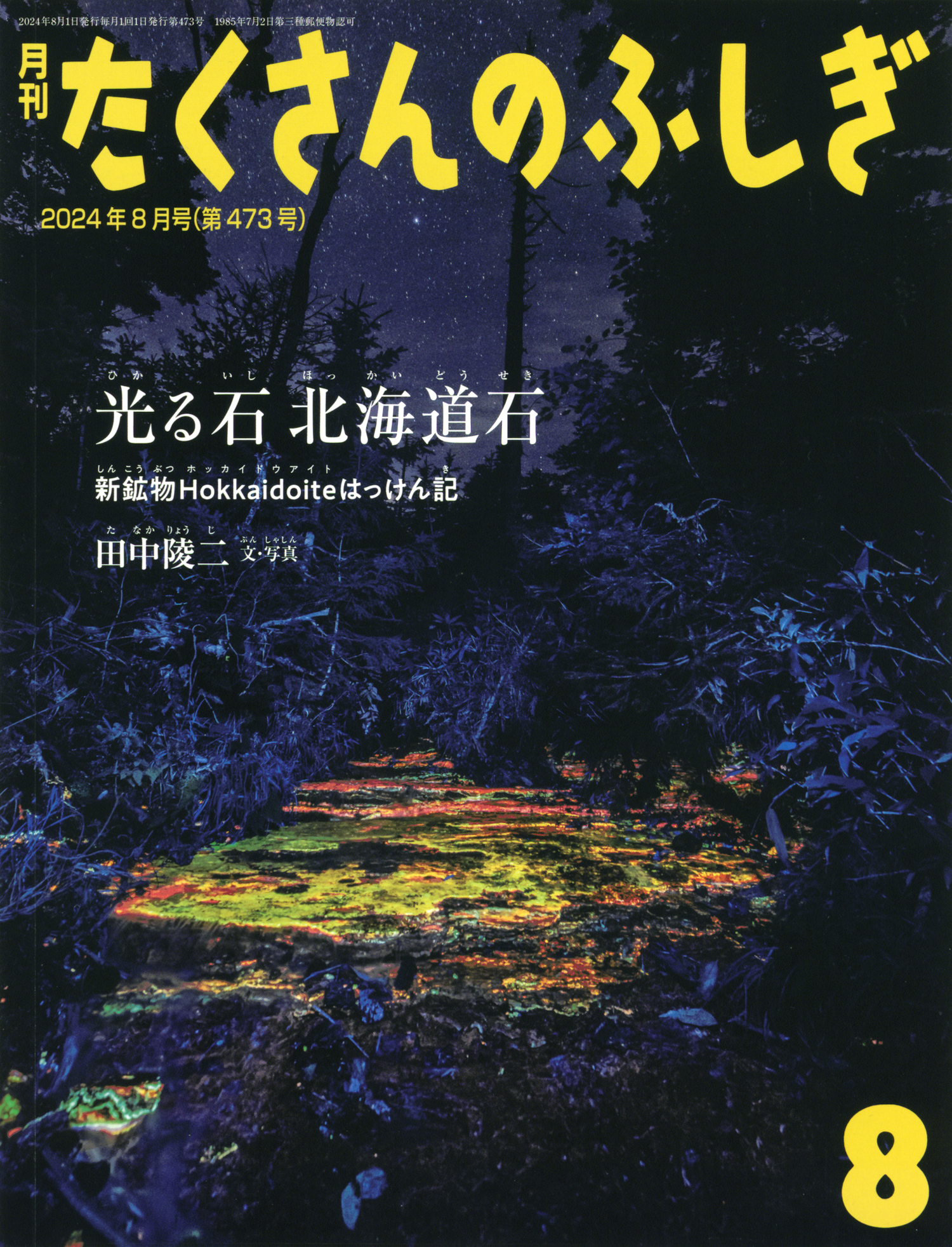 光る石ガイドブック蛍光鉱物の不思議な世界 図鑑　理科 光る石ガイドブック: 蛍光鉱物の不思議な世界 (ROCK&GEM