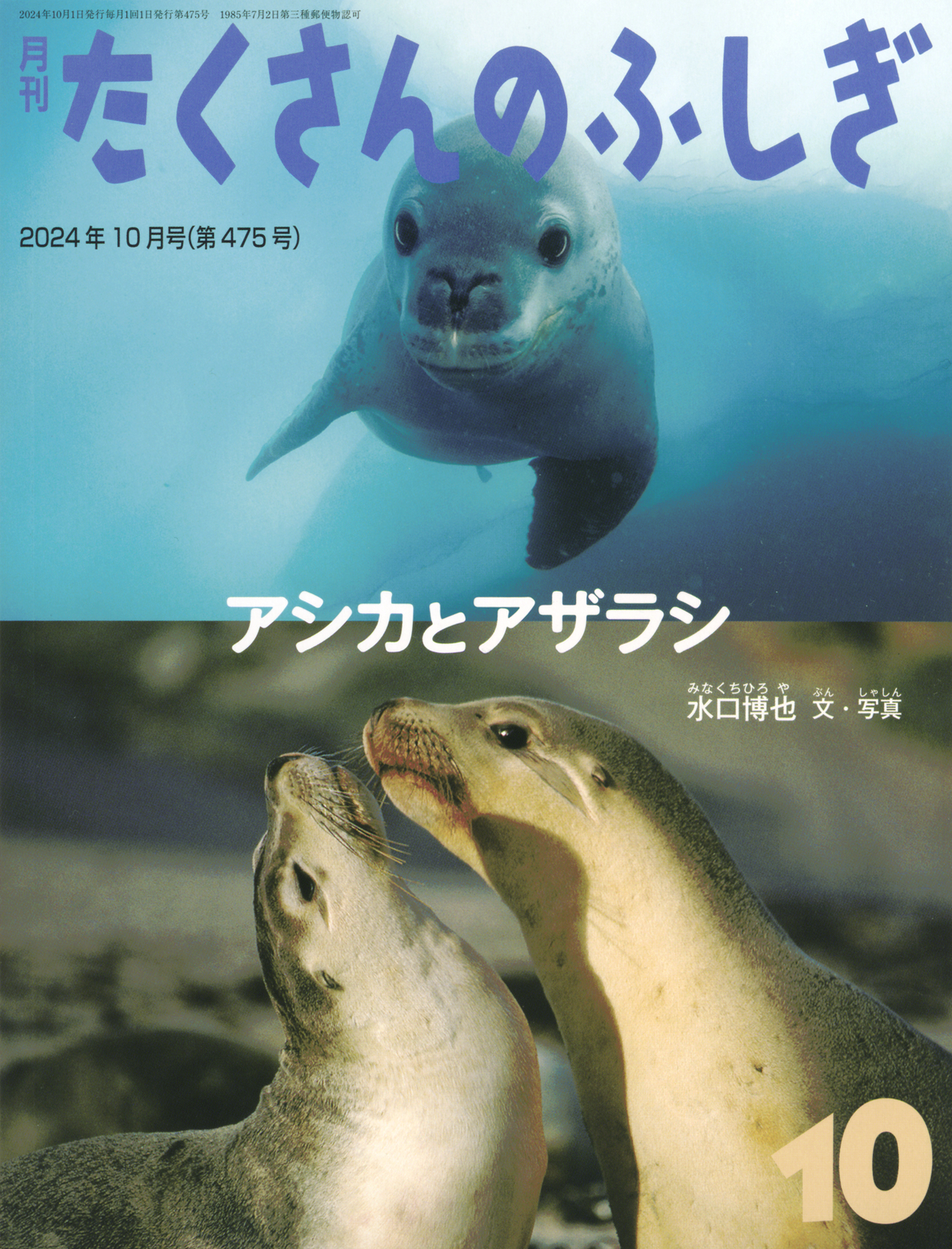 たくさんのふしぎ10月号『アシカとアザラシ』 | こどものとも ひろば