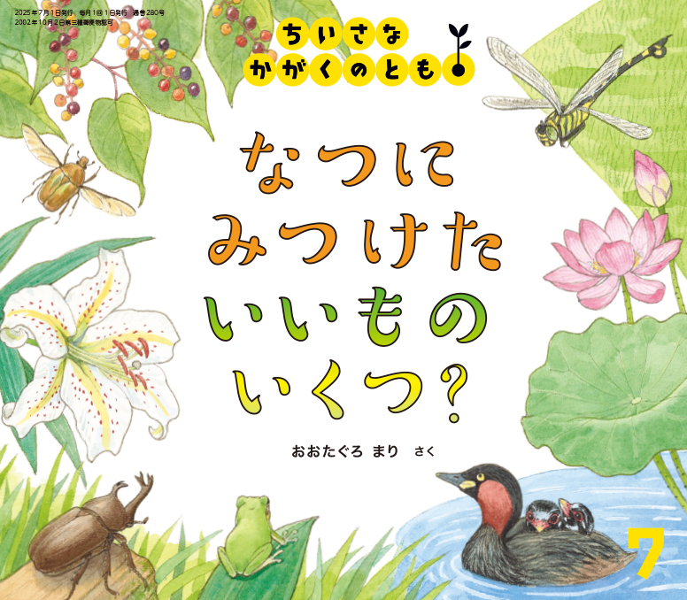 ちいさなかがくのとも2025年7 月号『なつに みつけた いいもの いくつ？』