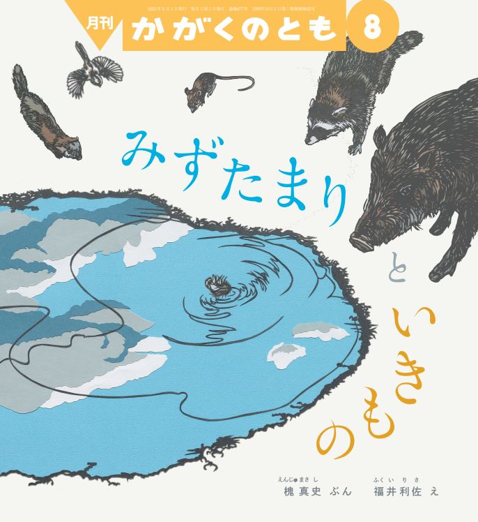 かがくのとも2025年8月号『みずたまりと いきもの』