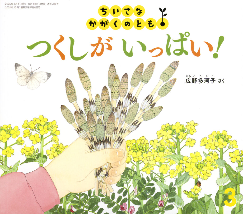 ちいさなかがくのとも 2026年3月号『つくしが いっぱい！』