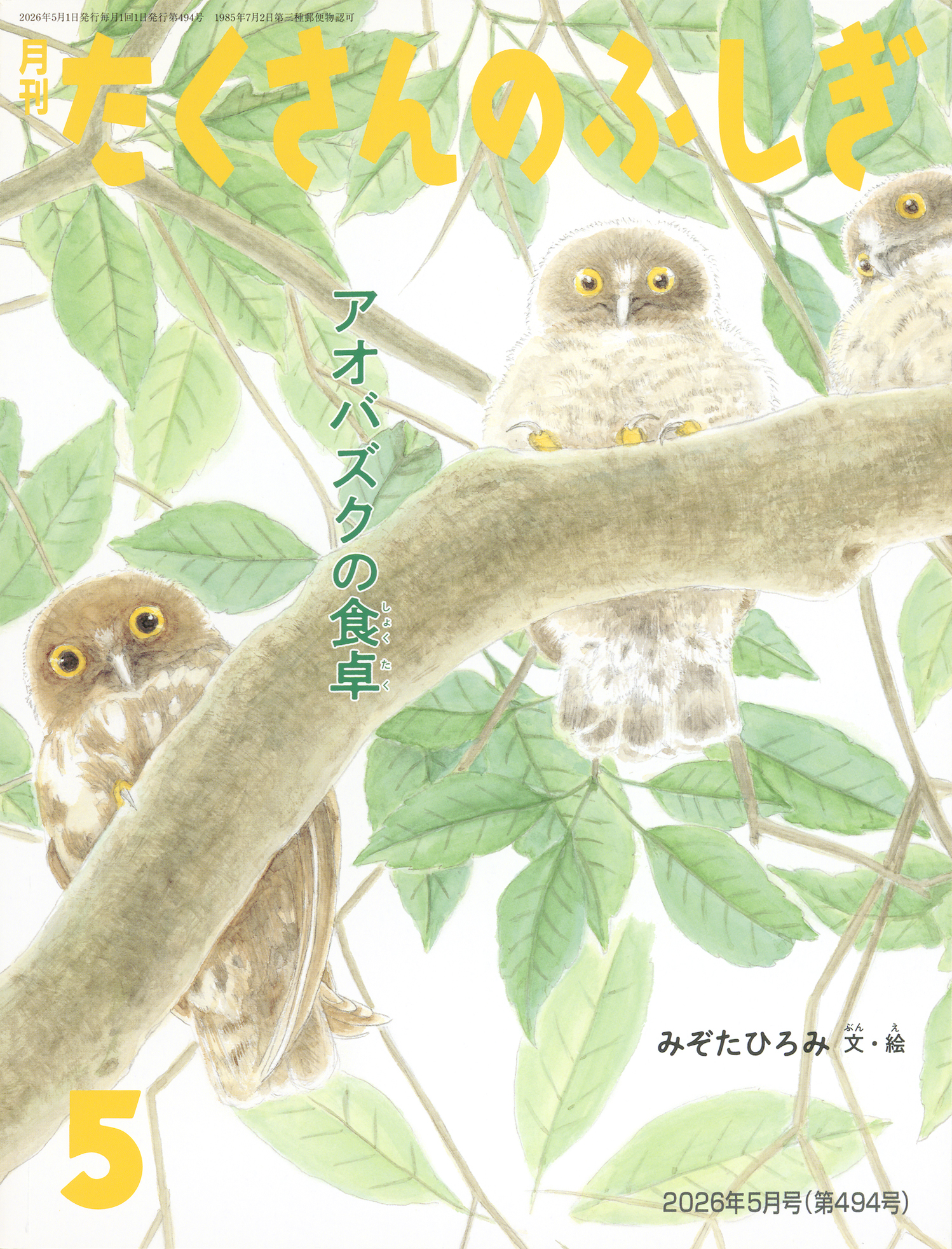 たくさんのふしぎ2026年5月号『アオバズクの食卓』 | こどものとも ひろば
