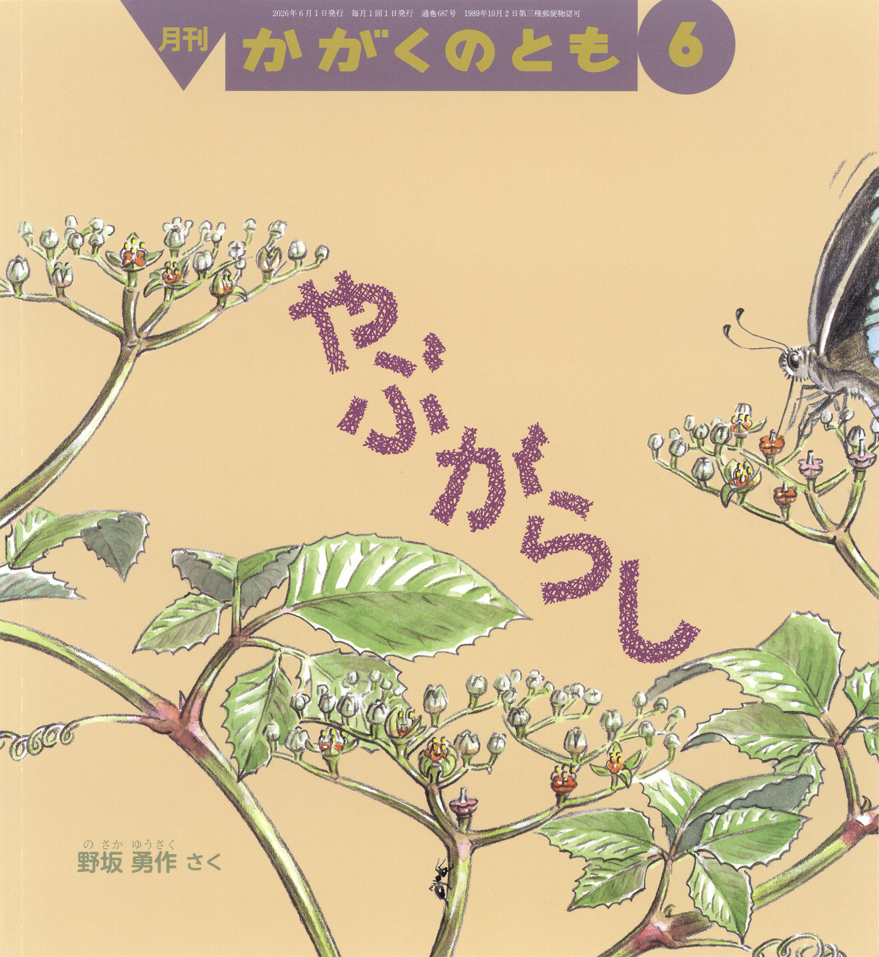 かがくのとも 2026年6月号『やぶがらし』 | こどものとも ひろば