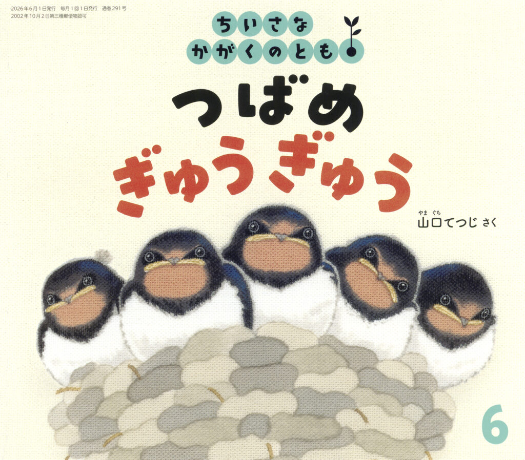 ちいさなかがくのとも 2026年6月号『つばめ ぎゅうぎゅう』